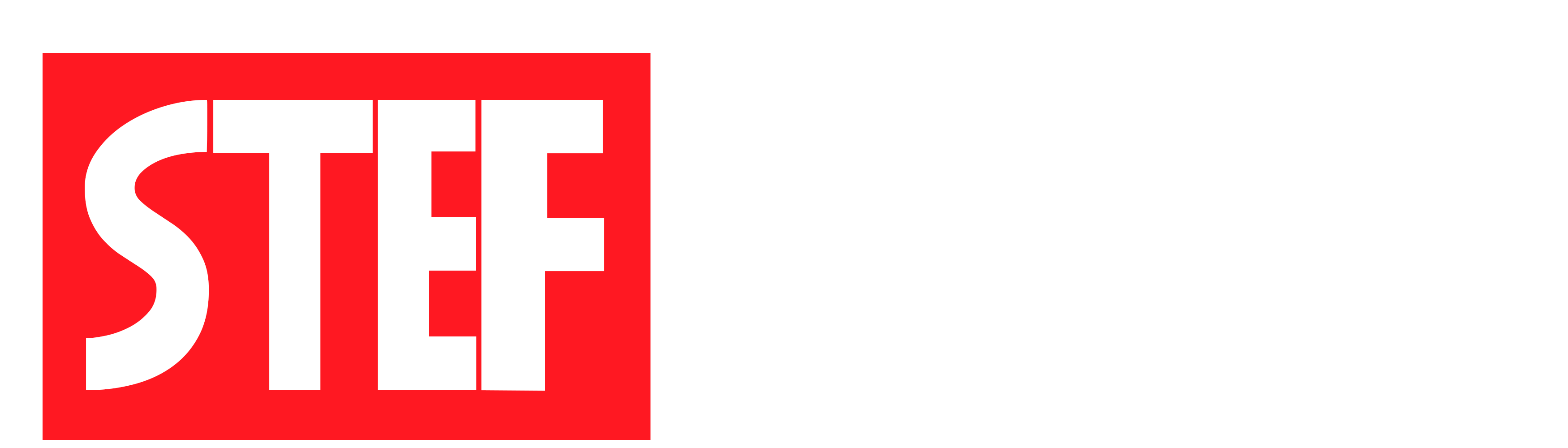 Logo Stefmeister